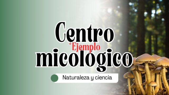 Naturaleza y ciencia- museos