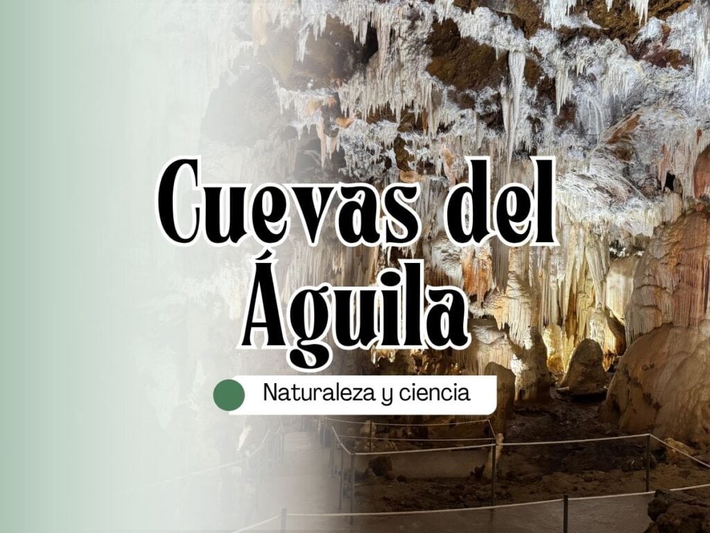Cueva del Águila – Naturaleza y ciencia- museos