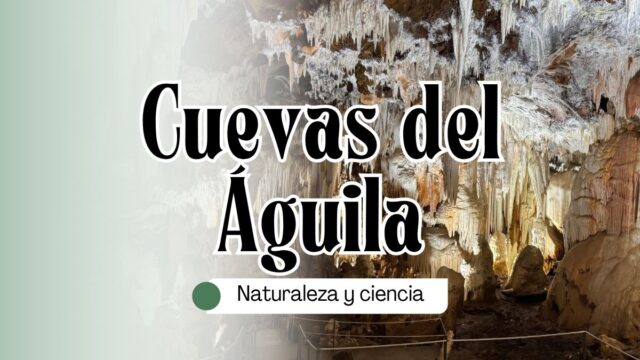Cueva del Águila – Naturaleza y ciencia- museos