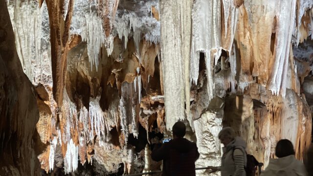 Cuevas del Aguila 4