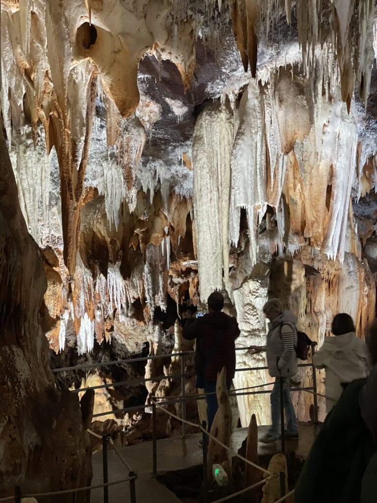Cuevas del Aguila 4