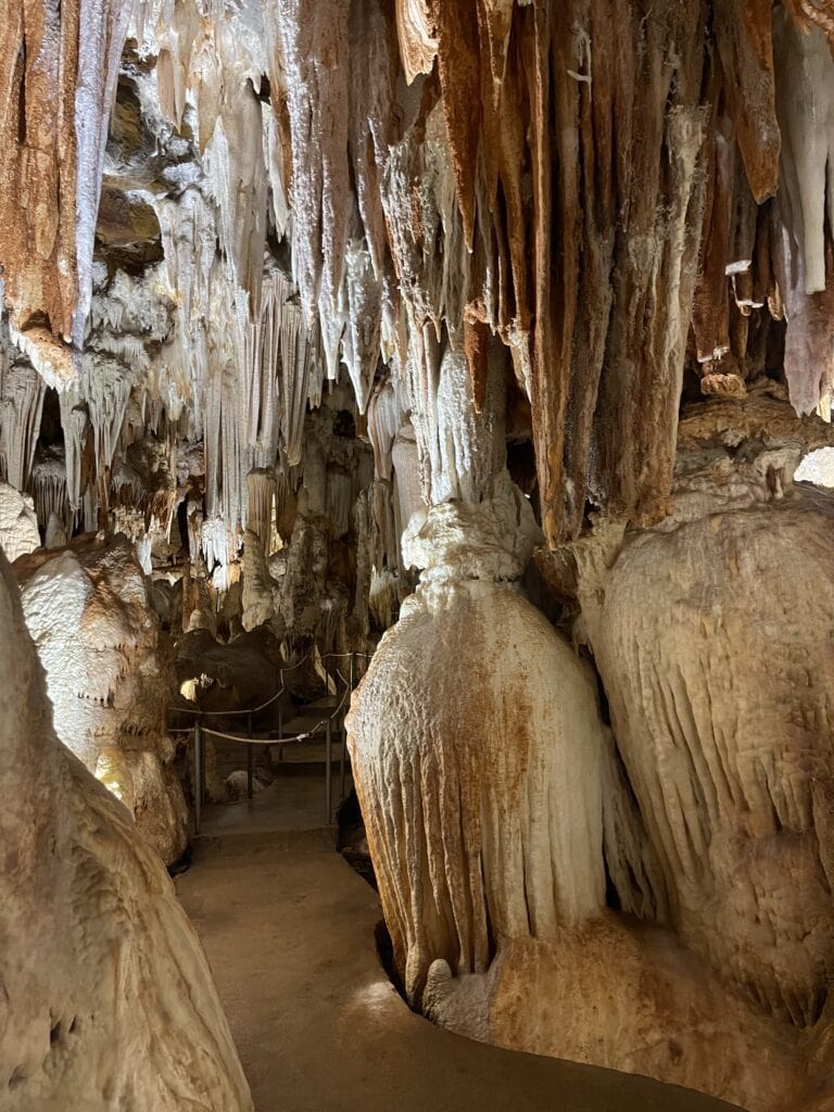 Cuevas del Aguila 5