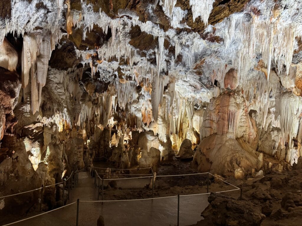 cuevas del aguila 1