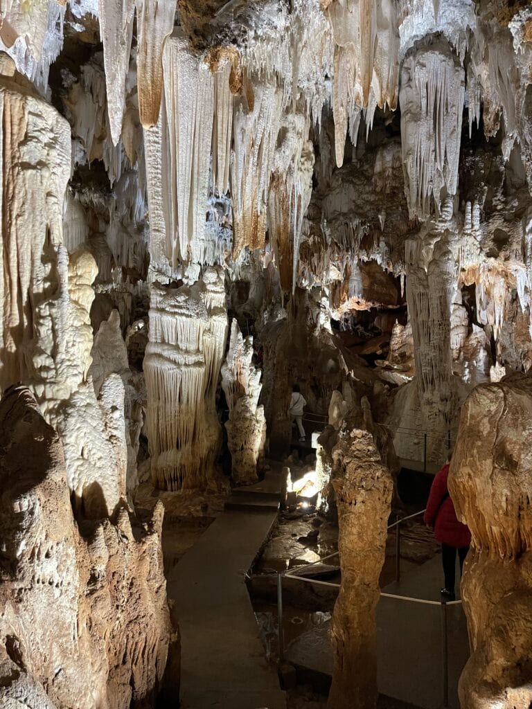 cuevas del aguila 2