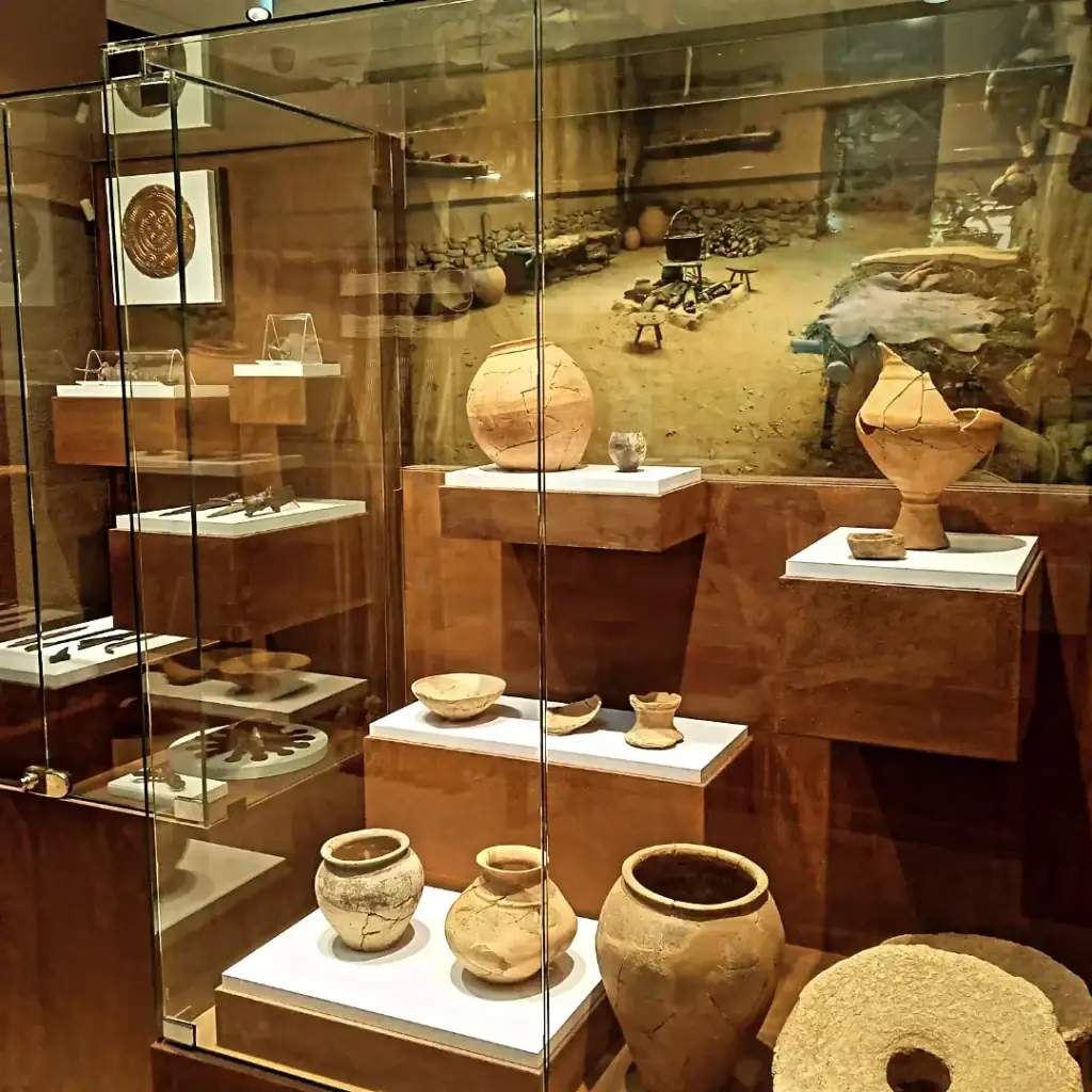 1742121336429 – castroceltaelraso