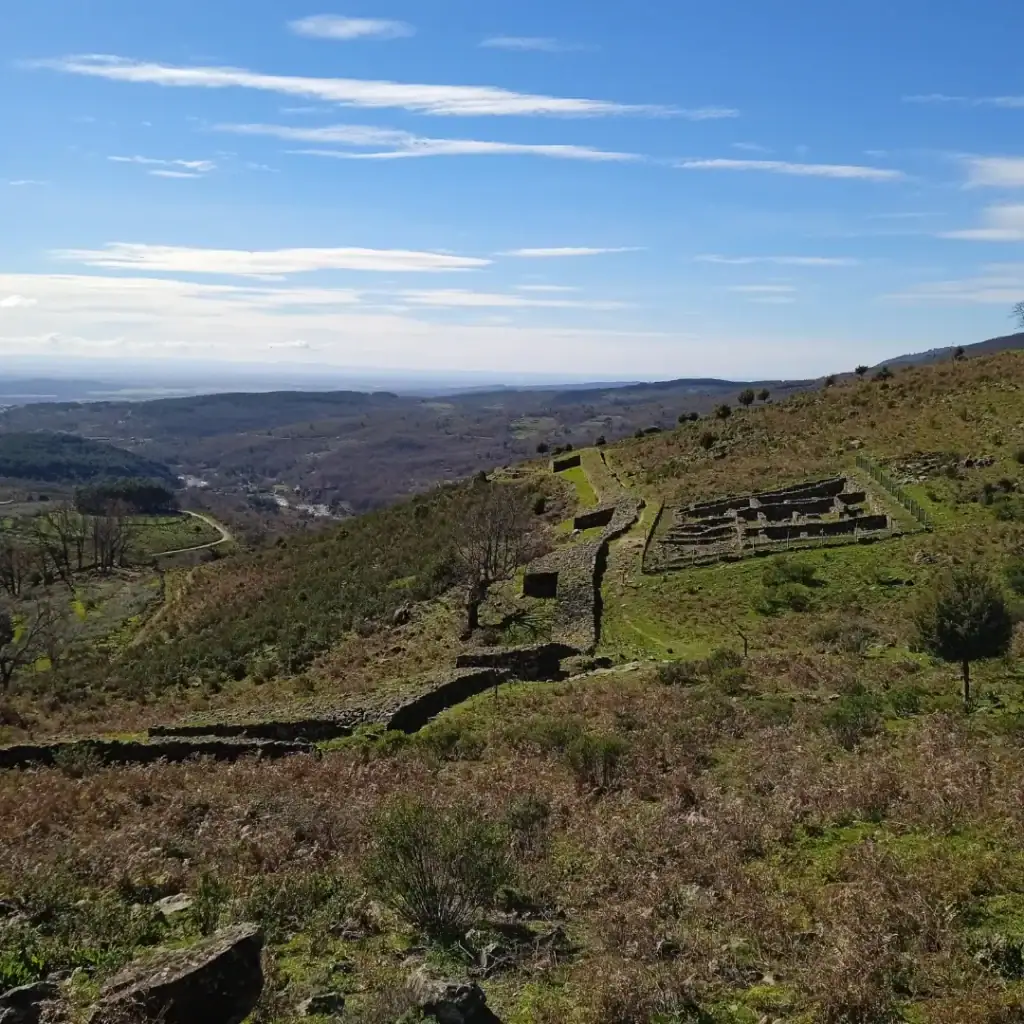 1742121336437 – castroceltaelraso