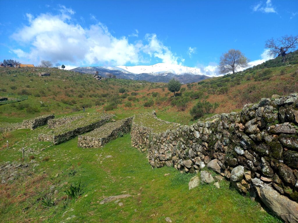 IMG-20250323-WA0012 – castroceltaelraso