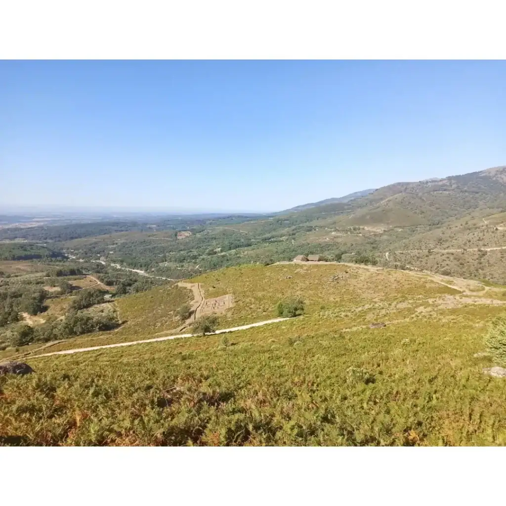 IMG_20230804_115321_651 – castroceltaelraso