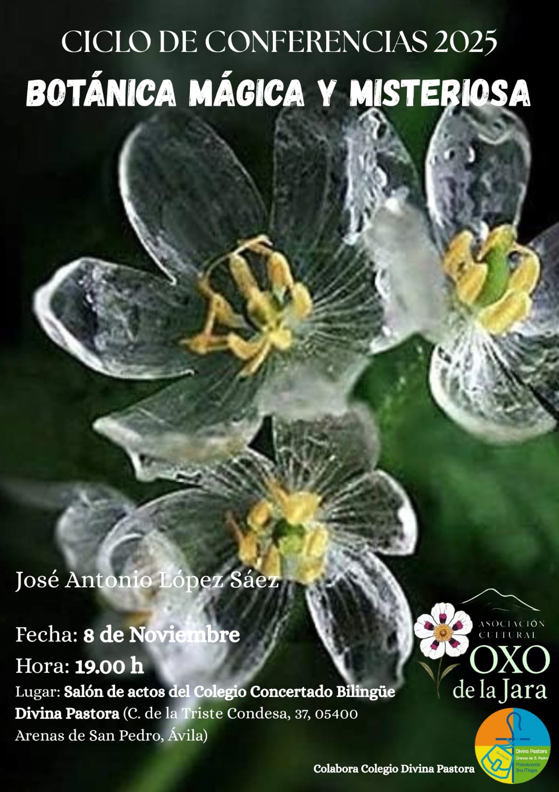 Imagen de WhatsApp 2025-10-22 a las 12.14.14_1b86d727